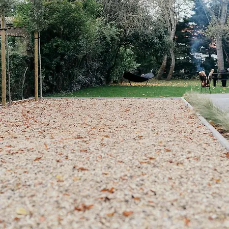 Oiseau Des Dunes * קוקסיידה