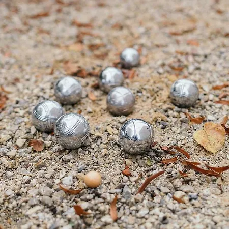 Oiseau Des Dunes קוקסיידה