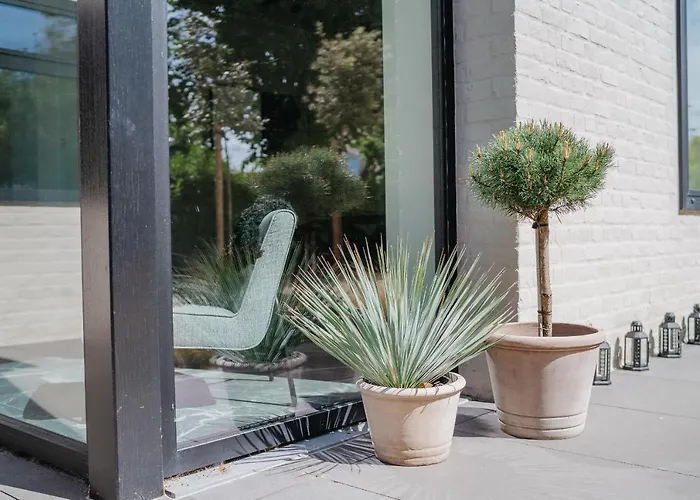 Oiseau Des Dunes Koksijde