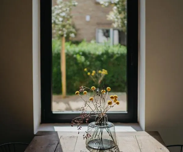 Oiseau Des Dunes Koksijde