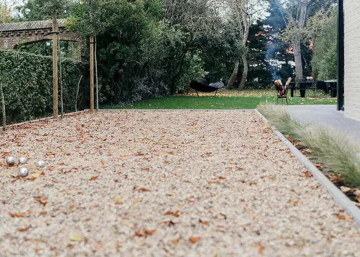 Oiseau Des Dunes * Koksijde