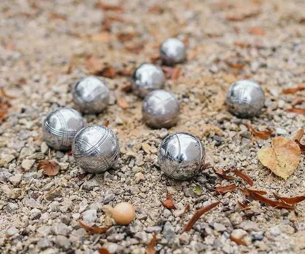 Oiseau Des Dunes Koksijde